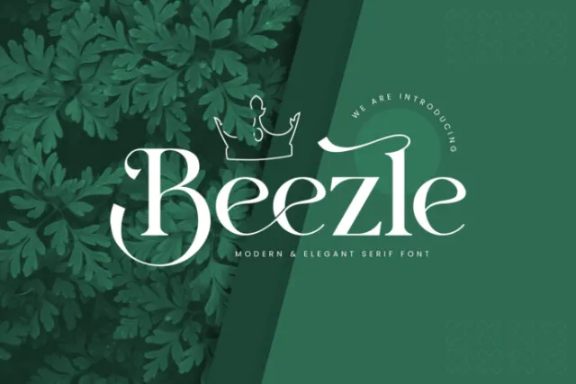Beezle Serif Font